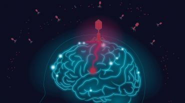 CBD Oil For Alzheimer Patients