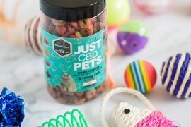 CBD Treats to Relax Both You and Your Pet
